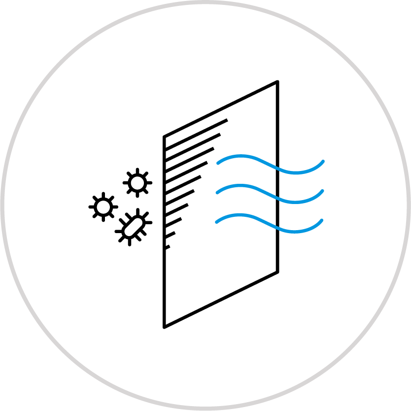 Função antibacteriana/antialérgica 