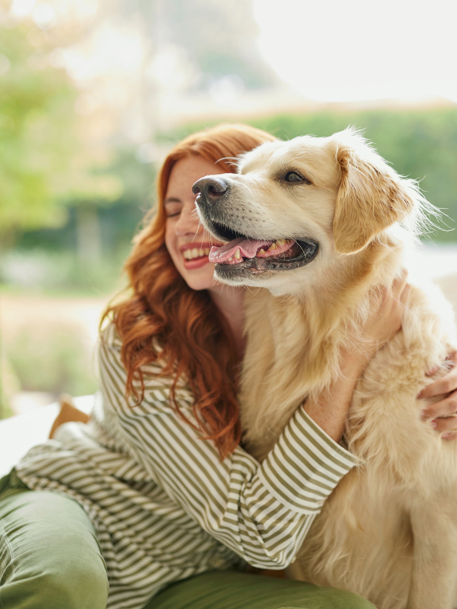 Viver com animais de estimação e controlar os sintomas de alergias em casa
