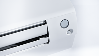 CTXM-A_Details_08.tif